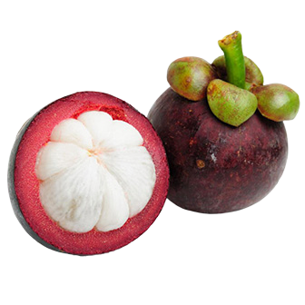 SUWIVAT มังคุด