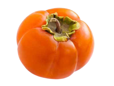FG PERSIMMON