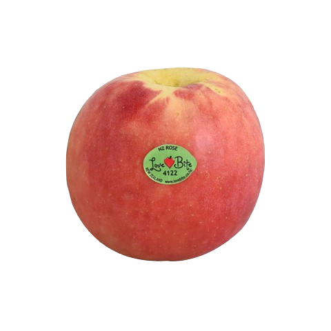 APPLE PACIFIC ROSE NO.30 แอปเปิ้ล แปซิฟิกโรส