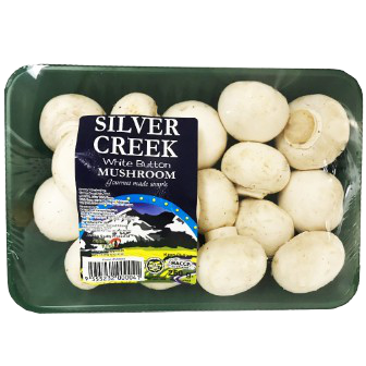 White Button Mushroom (เห็ดกระดุมขาว) offers classic mild umami flavor plus semi-firm texture with crisp bite perfect raw or cooked