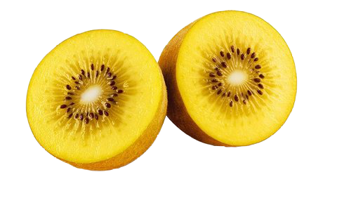 Kiwi Gold New Zealand (กีวีสีทอง) 1Pc Size No.27