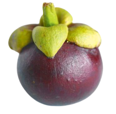 มังคุด