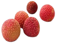 Lychee