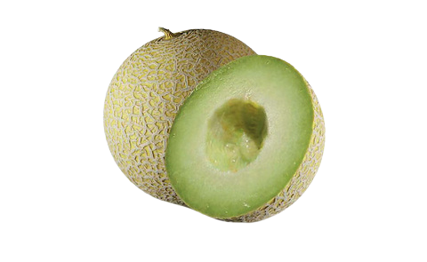 GREEN MELON JAPAN