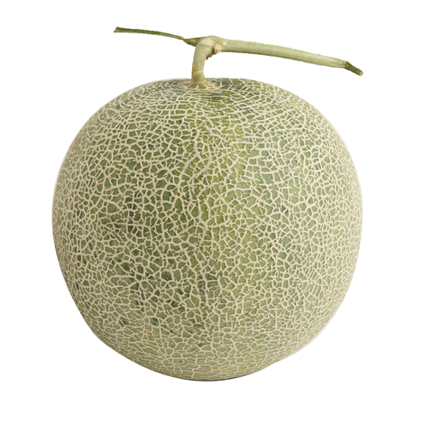 JAPAN MELON PREMIUM