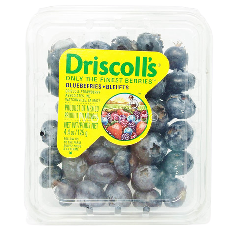 FG BLUEBERRY DRISCOLL 125G