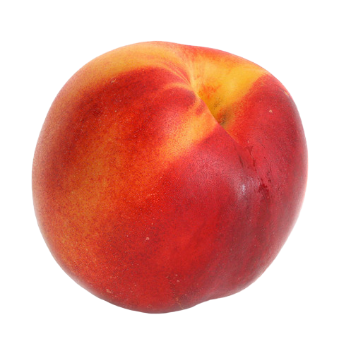FG YELLOW NECTARINE IMPORT