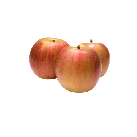 FG APPLE FUJI 42-46 KOREAN