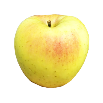 APPLE GUNMA MEIGETSU # 28 JP
