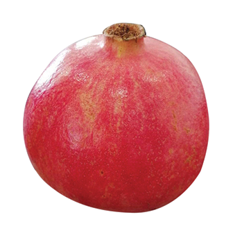 Pomegranate
