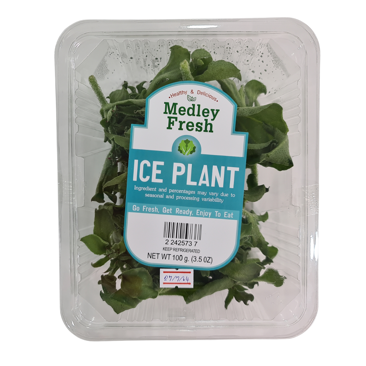 Ice Plant Leaves (ใบผักเกล็ดหิมะ) offer a unique jelly interior with slight crunch juicy texture and marine salinity becoming sweeter when fully ripened.