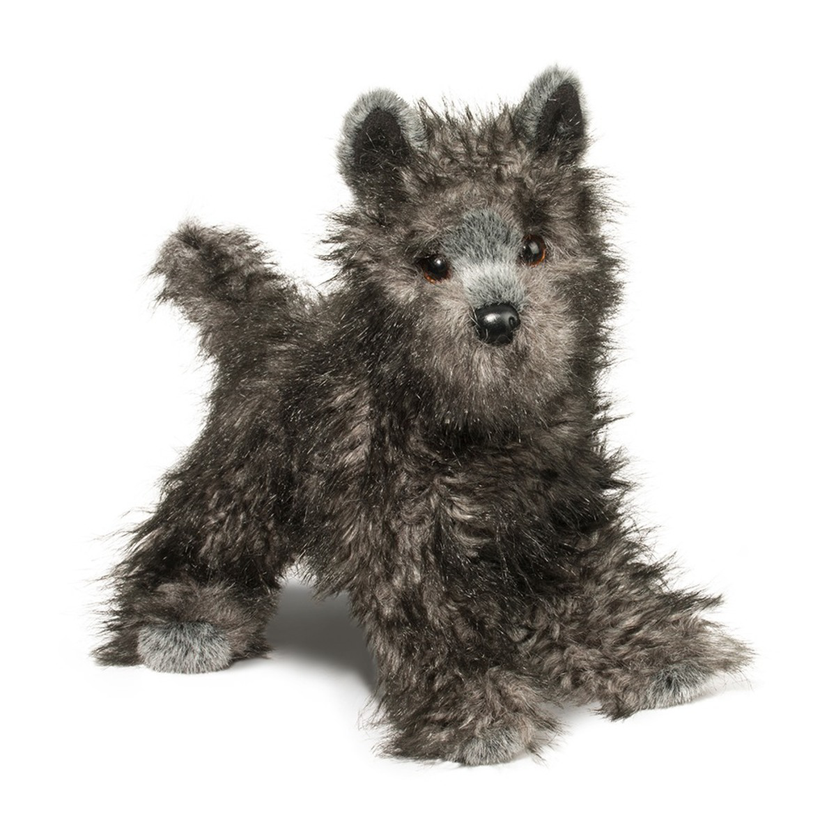 Douglas Hazel Cairn Terrier